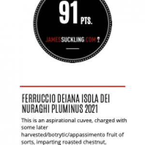 ferruccio_deiana_isola_dei_nuraghi_pluminus_2021