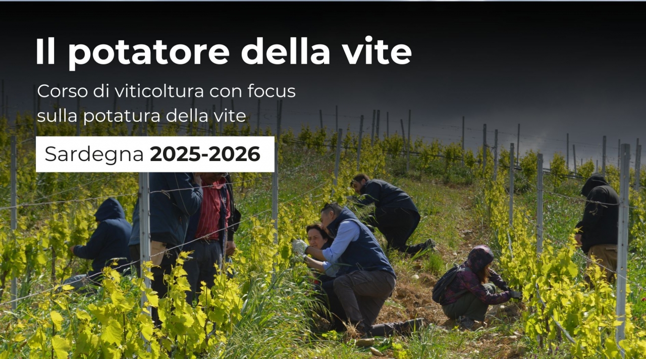 Corso di potatura della vite da Ferruccio Deiana